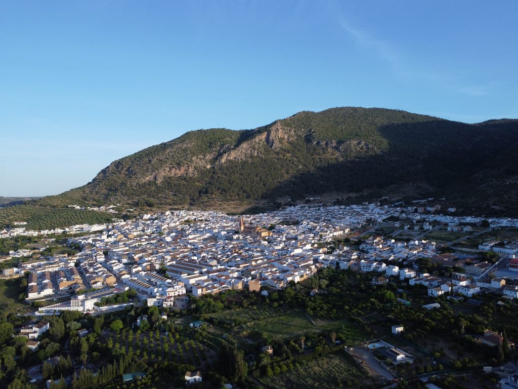 DAS OLIVENÖL UND SEINE HERKUNFT dji fly 20260522 075522 61 1779429381158 photo optimized